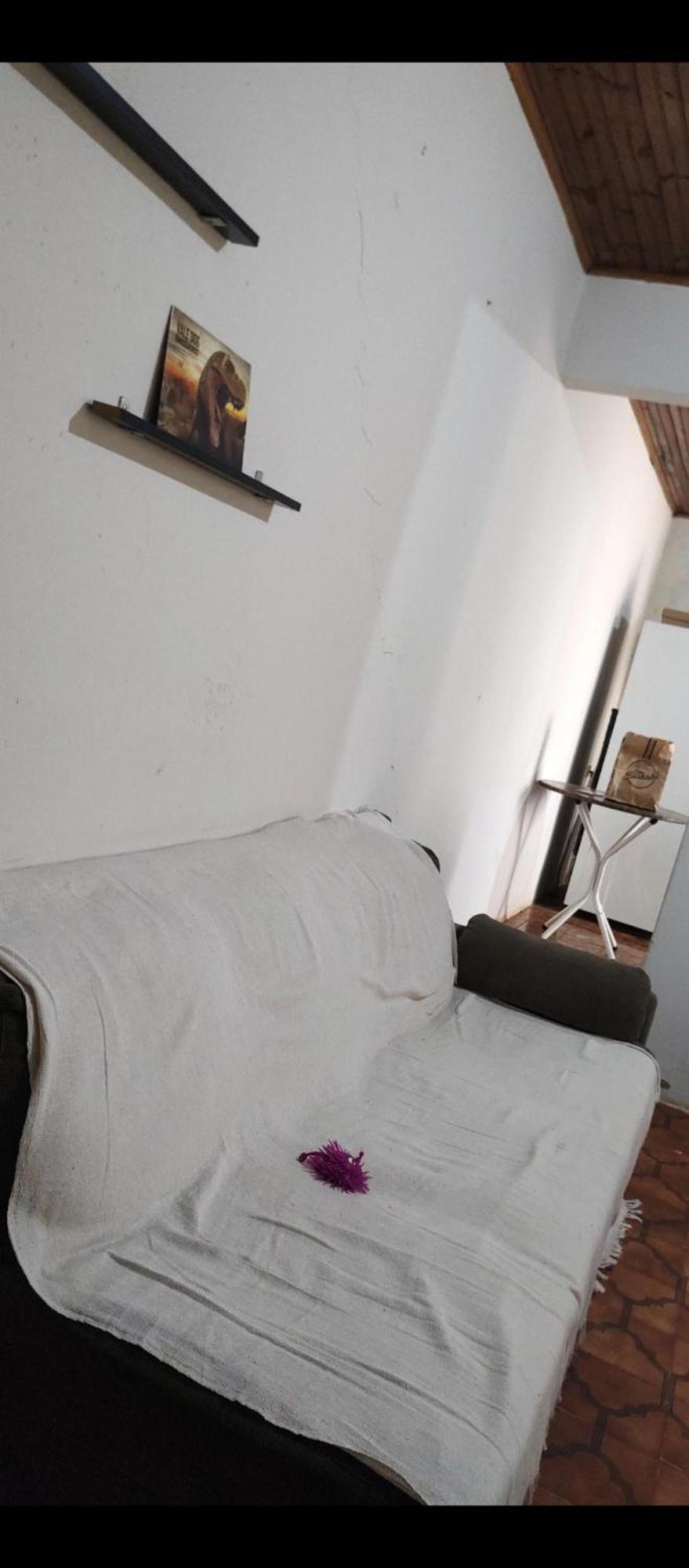 Pe De Pitanga - Unica Casa Arborizada Do Quarteirao Com Arvores Frutiferas Maringá Buitenkant foto